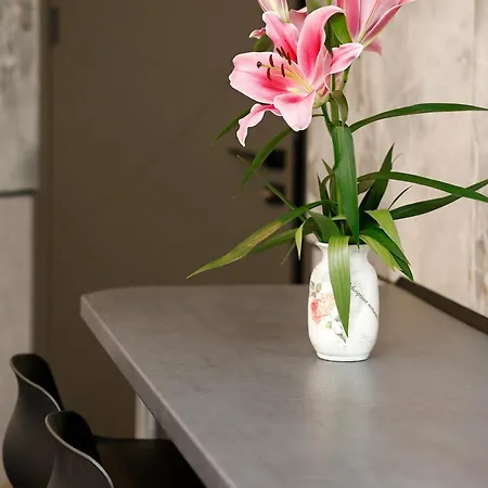 Apartment Deluxe 3 Center *